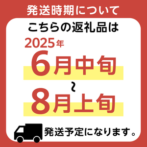 【当日配送】【先行受付 2025年6月20日頃～8月上旬発送予定】早朝収穫！とうもろこし10～12本（味甘ちゃん・みかんちゃん）【関東+山梨へのお届け】  mi0046-0005 当日配送 朝採れ 新