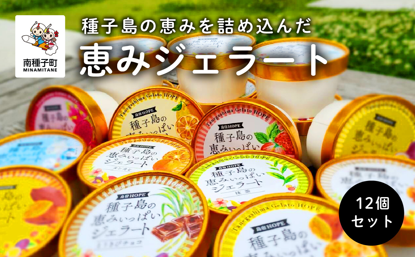 恵みジェラート12個セット【種子島ジェラートＨＯＰＥ】