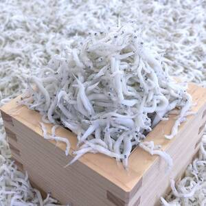 冷凍釜揚げしらす700g(100g×7袋)【配送不可地域：離島】【1296364】