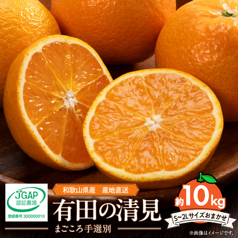 ZE6366n_和歌山県産 有田の 清見 10kg (S～2Lサイズ)【サイズおまかせ】【まごころ手選別】