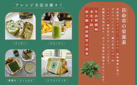 姫島村産 長命草 ペースト 1箱(30袋入り) P1