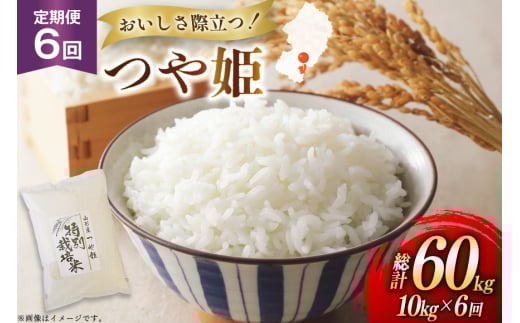 米 定期便 6回 令和7年 つや姫 10kg 6回 計60kg [渡部ファーム 山形県 高畠町 tk06ays810040] お米 白米 精米 ごはん ご飯 ブランド米