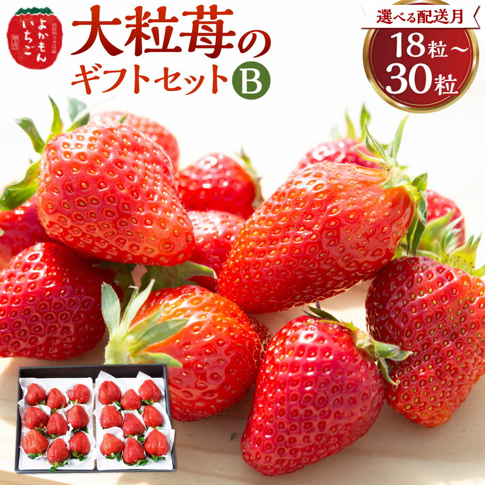 【ふるさと納税】 【選べる発送時期】よかもんいちご 大粒苺のギフトセットB いちご 苺 フルーツ 【2026年2月から2026年4月まで順次発送予定】送料無料 福岡県 うきは市