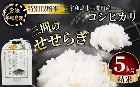 三間のせせらぎ 三間町産 コシヒカリ 5kg 渡辺農園 米 ごはん お弁当 おにぎり ブランド米 ふっくら ツヤツヤ 甘い 粘り 美味しい 農家直送 産地直送 数量限定 国産 愛媛 宇和島 G012-