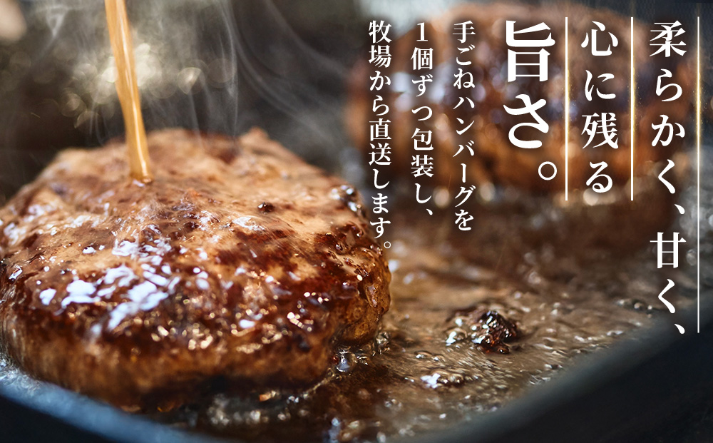 佐賀牛 すきやき用800g･柔らかハンバーグ130g×4個計520g【佐賀牛 佐賀産和牛 すきやき ハンバーグ 牧場直送 霜降り 赤身】(H122111)