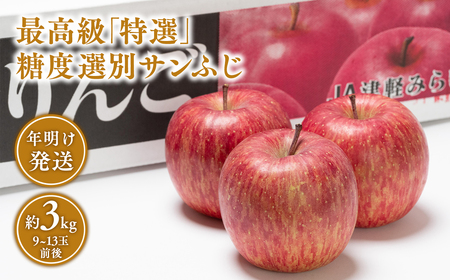 【レビューキャンペーン】年明け  最高級「特選」糖度選別サンふじ 約3kg 【青森県 平川市 JA津軽みらい1月・2月】青森 青森県産 平川 りんご リンゴ 林檎 くだもの 果物 ふじ フルーツ [hi-0001-028]
