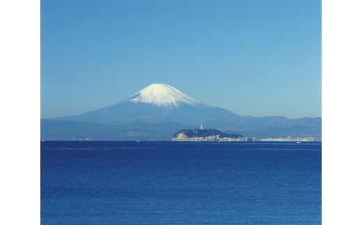 野菜 セット 旬 の 湘南野菜 おまかせ セット 10 ～ 15品 お任せ 詰め合わせ 野菜セット やさい やさいセット yasai きゅうり トマト なす ねぎ さといも 小松菜 白菜 玉ねぎ とま