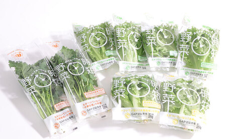 なばリーフ アソート セット フリルレタス 3p グリーンリーフレタス 2p ケール 2p【計7p入/ 時短 野菜 特殊フィルム包装】