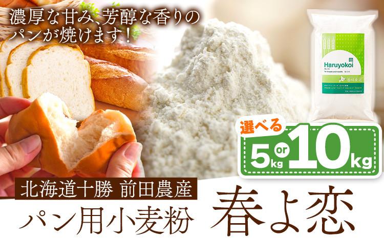 
            北海道十勝 前田農産パン用小麦粉「春よ恋」選べる 内容量 5kg(1kg×5袋) or 1kg×10袋 計10袋 or 3ヶ月定期便 5kg×3回 有限会社 十勝太陽ファーム 送料無料《60日以内に出荷予定(土日祝除く)》 北海道 本別町 パン 小麦粉 小麦
          