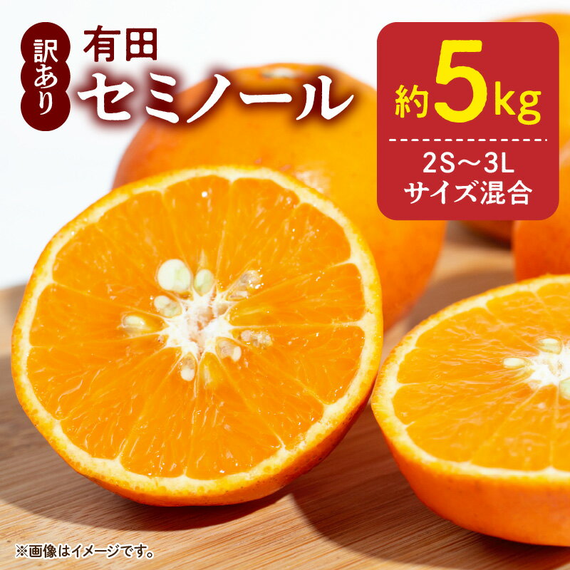 【ふるさと納税】【限定】【2026年先行予約】訳あり セミノール 和歌山 有田 2S～3Lサイズ混合 5kg