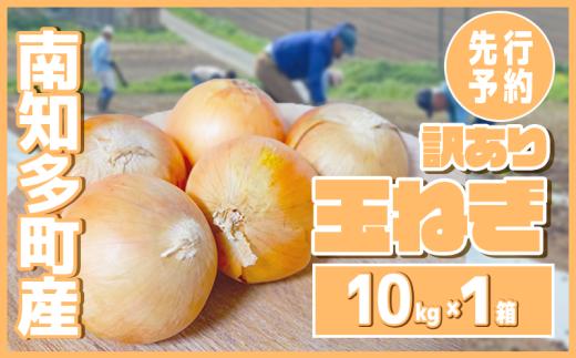 【先行予約 5～6月出荷】 訳あり 玉ねぎ 10kg(1箱)  野菜 オニオン 甘い 玉葱 肉じゃが ハンバーグ 家庭用 大きさ不揃い 先行予約