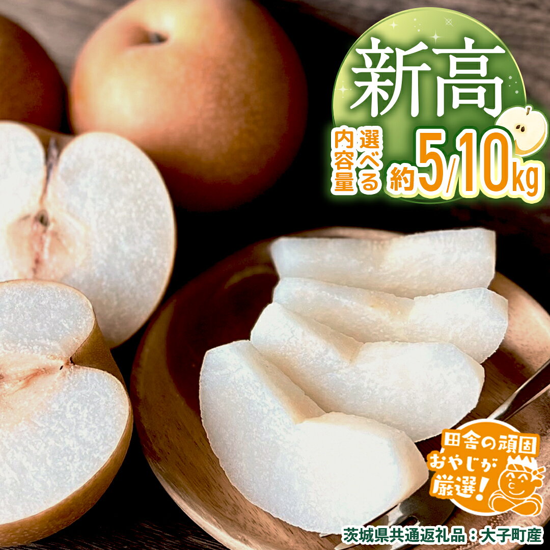 【ふるさと納税】＼ 選べる内容量 ／梨 新高 約5kg / 約10kg 【2026年10月より発送開始】（茨城県共通返礼品 [梨]：大子町産）田舎の頑固おやじが厳選！なし 新高梨 和梨 フルーツ 果物 くだもの 高糖度 ギフト 茨城