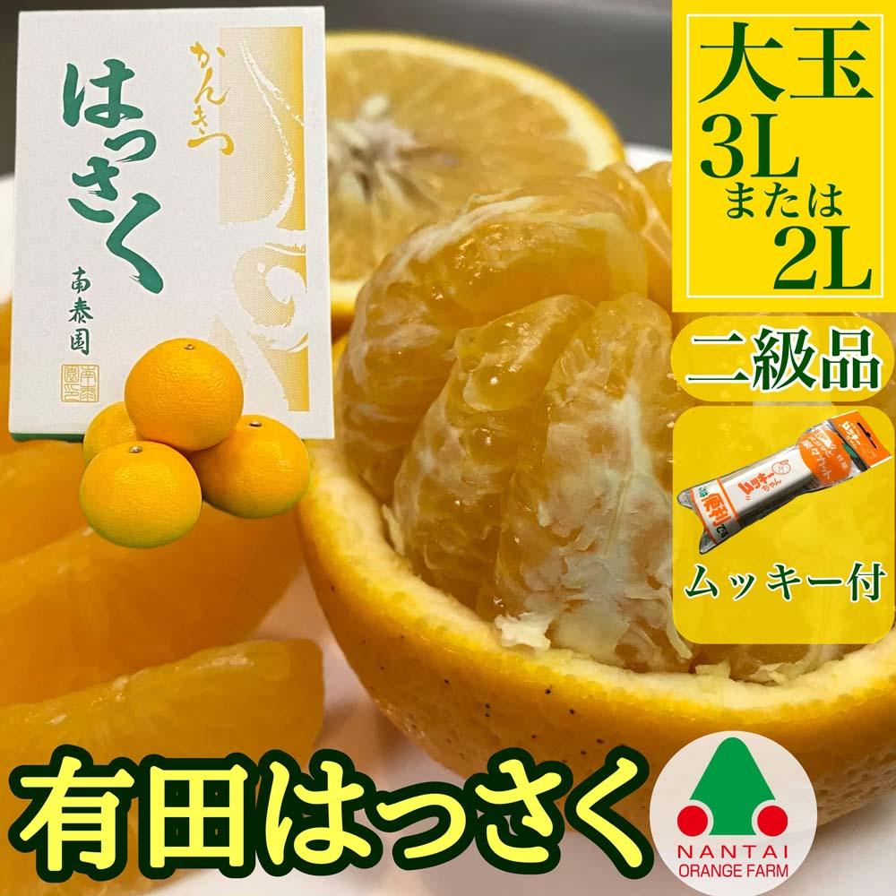 手詰め 有田 はっさく 大玉 3L × 6玉 または 2L × 7玉 ちょっと 傷あり ムッキー 同梱 南泰園 みかん BS711