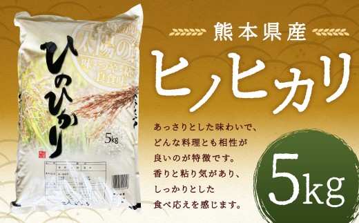 【令和7年産】 ヒノヒカリ5kg 【2026年9月下旬迄発送予定】 お米 白米 ご飯 国産 単一原料米 熊本県 人吉市