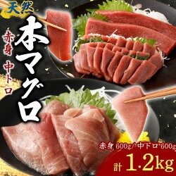 天然本まぐろ 赤身 中トロ 切落し お手軽 ちょこっとパック 合計1.2kg 食べきりサイズ 切り落とし お刺身 魚介類 海鮮 小分け 魚 海産物 魚貝 マグロ 父の日 高知県 簡単解凍 簡単調理 惣