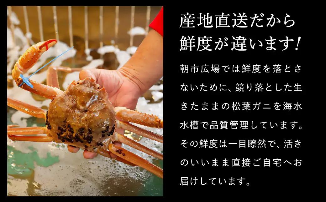 松葉ガニ 釜茹で タグ付き 約800g【湯楽使用】