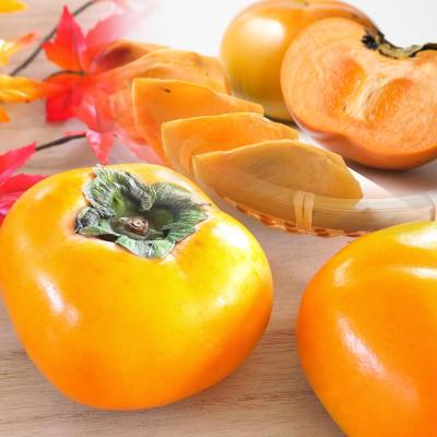 ふるさと納税 山鹿市 山鹿市産 太秋柿 約3kg(山鹿市)