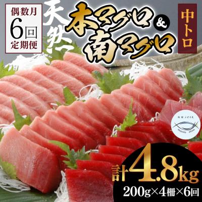 ふるさと納税 室戸市 【6回定期便】本マグロ　南マグロ　中トロ　各2柵　偶数月にお届け