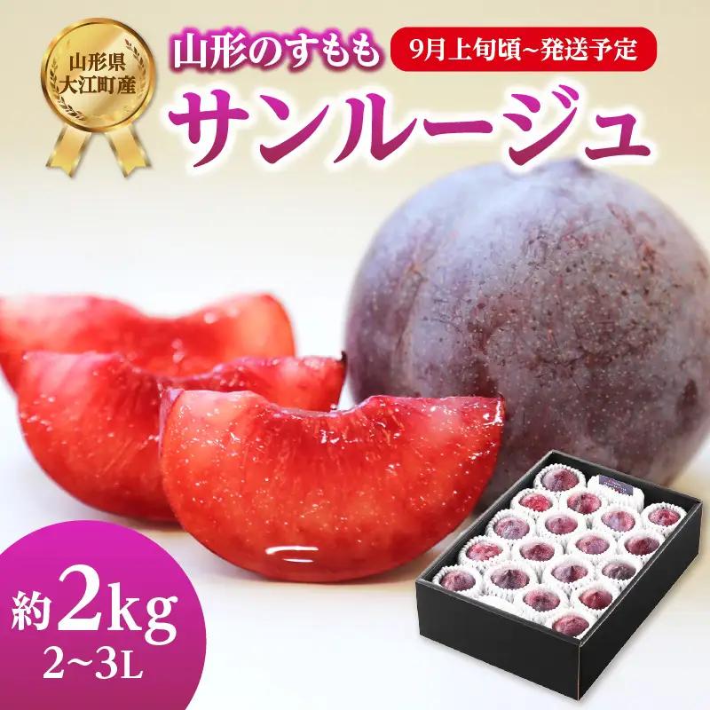 《先行受付》すもも「サンルージュ」約2kg 2～3L【2026年9月上旬頃～発送予定】【山形プラム・大江町産】 001-079