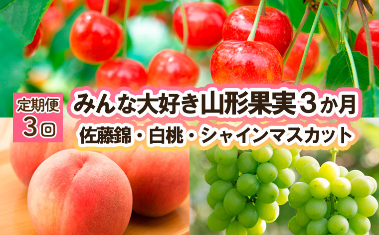 
【定期便3回】みんな大好き山形果実 (佐藤錦、白桃、シャインマスカット) 【令和6年産先行予約】FU23-342
