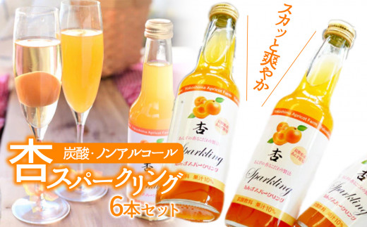 
スカッと爽やか 杏スパークリング (炭酸・ノンアルコール6本セット)
