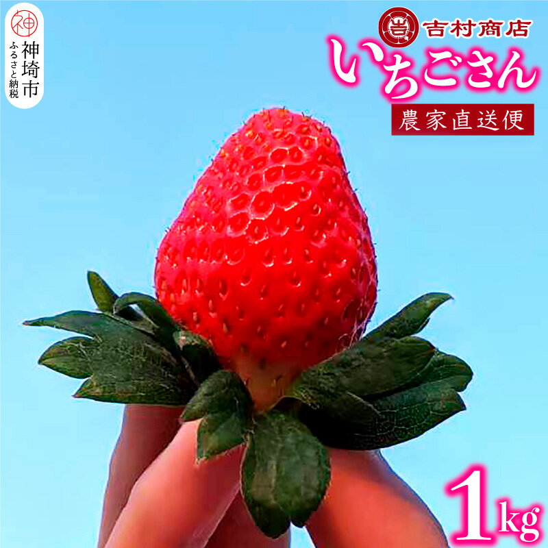 【ふるさと納税】【令和8年1月中旬より順次発送】いちごさん 4パック 約1kg 【いちご イチゴ 苺 佐賀県 甘い フルーツ 果物 国産 お祝い 贈り物】(H098107)