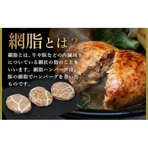 石垣島産 やえやまファームのアグー豚（南ぬ豚）網脂 ハンバーグ ≪6個セット≫　 E-9-1 