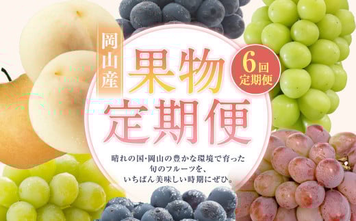 【6回定期便】 白桃 マスカットオブアレキサンドリア  桃太郎ぶどう ニューピオーネ 晴王 紫苑 あたご梨 【2026年7月上旬より順次発送開始】 桃 もも 葡萄 ブドウ ぶどう なし フルーツ 果物 ギフト 国産 岡山県産