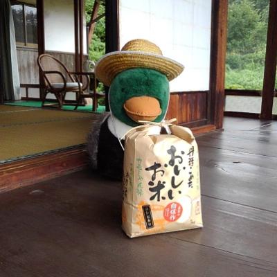 ふるさと納税 飯南町 カモしゃん米　精米5kg |  | 01