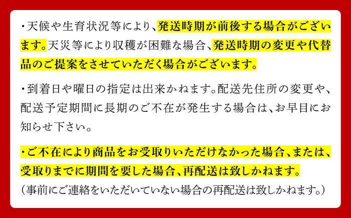 【2026年8月下旬～発送】シャインマスカット 約2kg（約2～5房）/ マスカット ますかっと ぶどう 葡萄 ブドウ フルーツ 果物 / 南島原市 / 長崎県農産品流通合同会社 [SCB076]