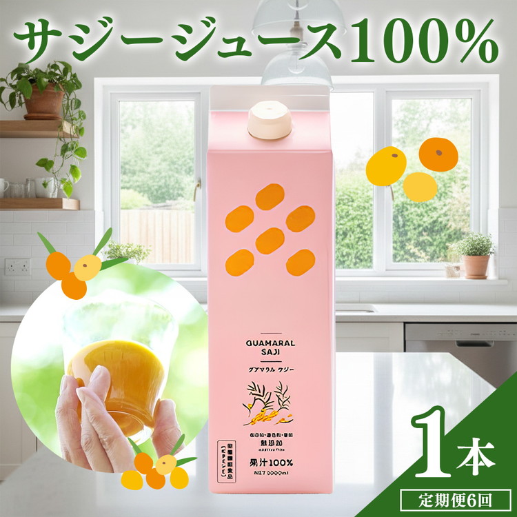 【定期便】 サジージュース 100% 1000ml×毎月1本 6ヶ月コース サジー シーベリー 沙棘 グアマラル 健康ドリンク 健康 美容 栄養 果汁 鉄分補給 栄養補給 健康食品_DX11
