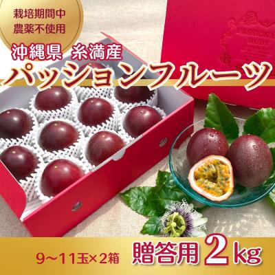 ふるさと納税 糸満市 【2027年発送・贈答用1kg(9玉〜11玉)×2箱】栽培期間中農薬不使用のパッションフルーツ