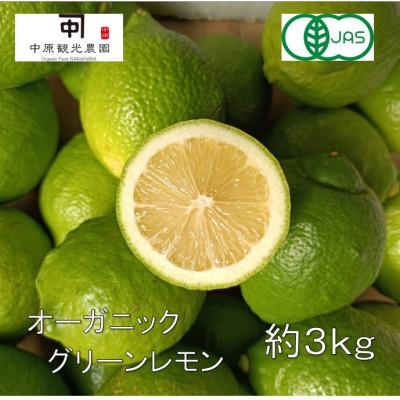 ふるさと納税 大崎上島町 【2026年10月〜11月発送】大崎上島産オーガニックグリーンレモン 約3kg(有機JAS認証)