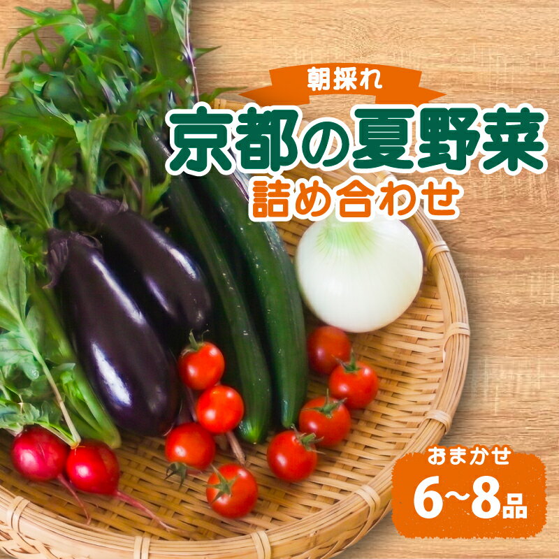 【ふるさと納税】 《6月～9月発送》 期間限定 京都 朝採れ 減農薬 夏野菜セット おまかせ 6～8種（野菜セット 野菜 詰め合わせ 京野菜 京都 なす コーン ミニトマト きゅうり 野菜 夏野菜 おまかせ 栽培 季節限定 ）