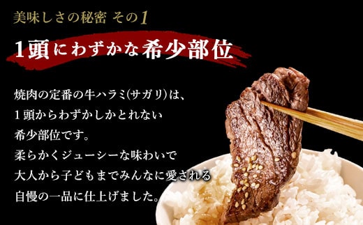 【３回定期便】やわらか 牛ハラミ（サガリ）肉 極旨秘伝醤油タレ漬け（300g×4袋）訳あり ハラミ 牛肉 個包装 焼肉 CS-032