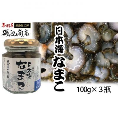 ふるさと納税 鰺ヶ沢町 なまこ 味付き 3本 セット [53841328]