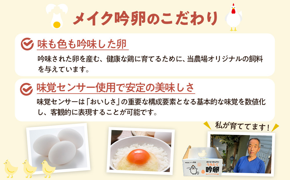 【6回定期便】さいとうさんちのうみたて吟卵　30個入り