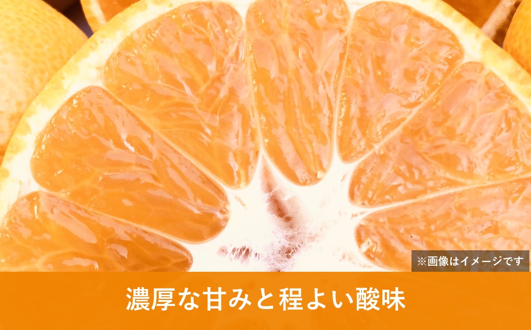 【先行受付】八幡浜産 温州みかん（5kg）家庭用【108-1】YWTBX001