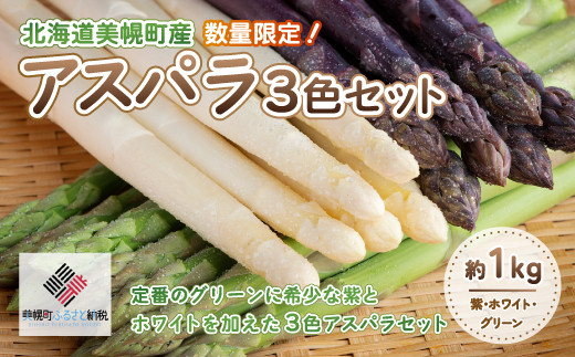 [先行受付]数量限定 定番のグリーンに希少な紫とホワイトを加えた3色アスパラセット 計約1kg 【配送不可地域：離島】 ふるさと納税 人気 おすすめ ランキング アスパラ アスパラガス グリーンアスパラ ホワイトアスパラ 紫アスパラ レア 貴重 北海道 美幌町 送料無料 BHRG065