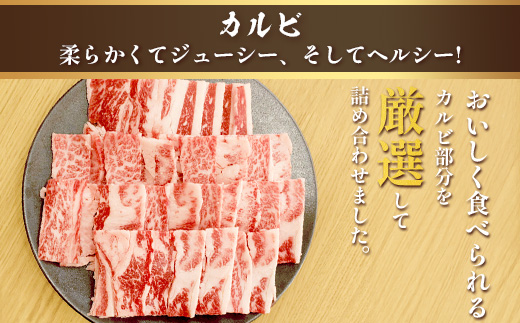 くまもとあか牛 焼肉セット 《 カルビ焼肉用 500g・肩ロース焼肉用 500g 》 焼き肉 カルビ バラ ロース 肩ロース 焼肉 計1kg