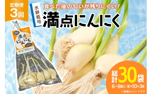 にんにく 満点にんにく 10袋 3回 定期便 [グローアップ 愛知県 岡崎市 ok23bzw550010] ニンニク 大蒜 ガーリック 発芽 野菜 やさい 生にんにく 国産