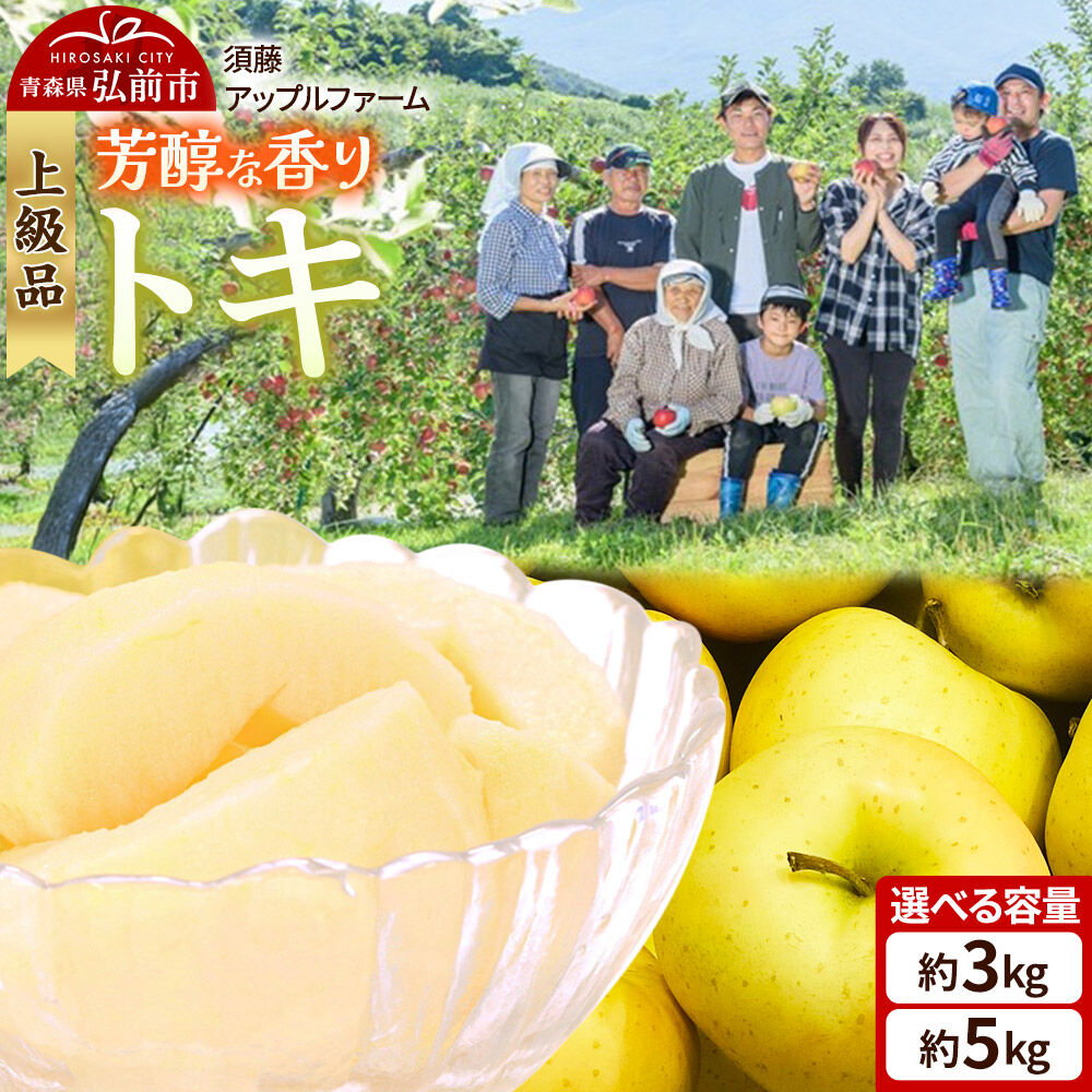 【ふるさと納税】りんご【26年10月発送】トキ【上級品】【選べる約 3kg／5kg】贈答用 青森県 弘前市 果物 フルーツ 林檎 リンゴ くだもの ギフト 贈り物 [産地直送 アップル おいしい 果実 美味 甘い 黄色]