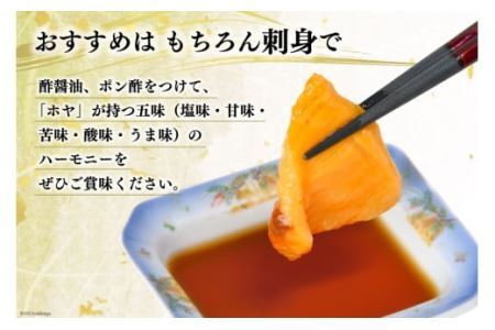 黄金のさしみ ほや 300g×5 [村田水産 宮城県 気仙沼市 20562368]ホヤ 冷凍 魚介類 魚介 刺身