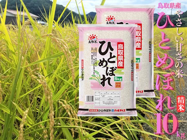精米 10kg 白米 ひとめぼれ 鳥取県産 令和7年産 | 226M