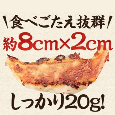 ふるさと納税 敦賀市 【訳あり】 肉汁溢れる!敦賀和風肉餃子 120個入り【ますよね 総菜 惣菜】 |  | 03