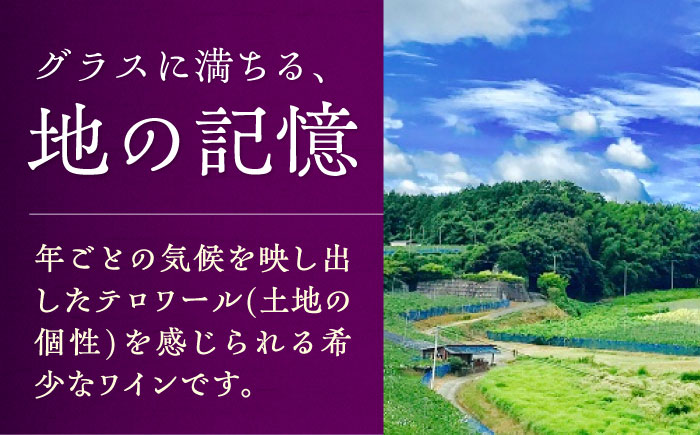 内子夢わいん 赤ワイン (山ぶどう) 約720ml 2本 / ワイン 山ぶどうワイン わいん wine お酒 酒 洋酒 愛媛県 愛媛 内子町 国産ワイン 日本ワイン 果実酒 送料無料 人気 家飲み 宅
