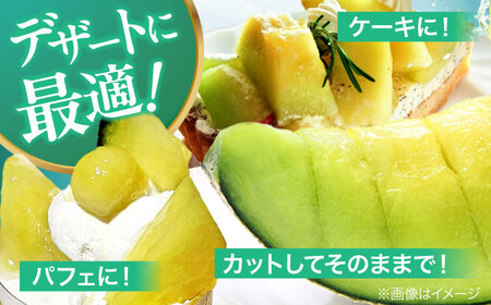 【先行予約】【6月中旬から順次発送】 タカミ メロン S〜Mサイズ 3〜4玉入り（1.5kg〜2.2kg/玉） 愛媛県大洲市/にのみや農園 めろん 貴味 果物 フルーツ くだもの 青肉 高級　[AGD
