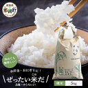 【ふるさと納税】令和6年産 新米 徳島県那賀町産 ぜったい米(こめ)だ 5kg ゆうだい21【徳島 那賀町 国産 米 お米 白米 精米 5キロ 徳島県産 国産米 高級米 単一原料米 おいしい 冷めても美味しい お弁当 おにぎり 贈物 プレゼント お歳暮 ギフト 産地直送】ZP-4