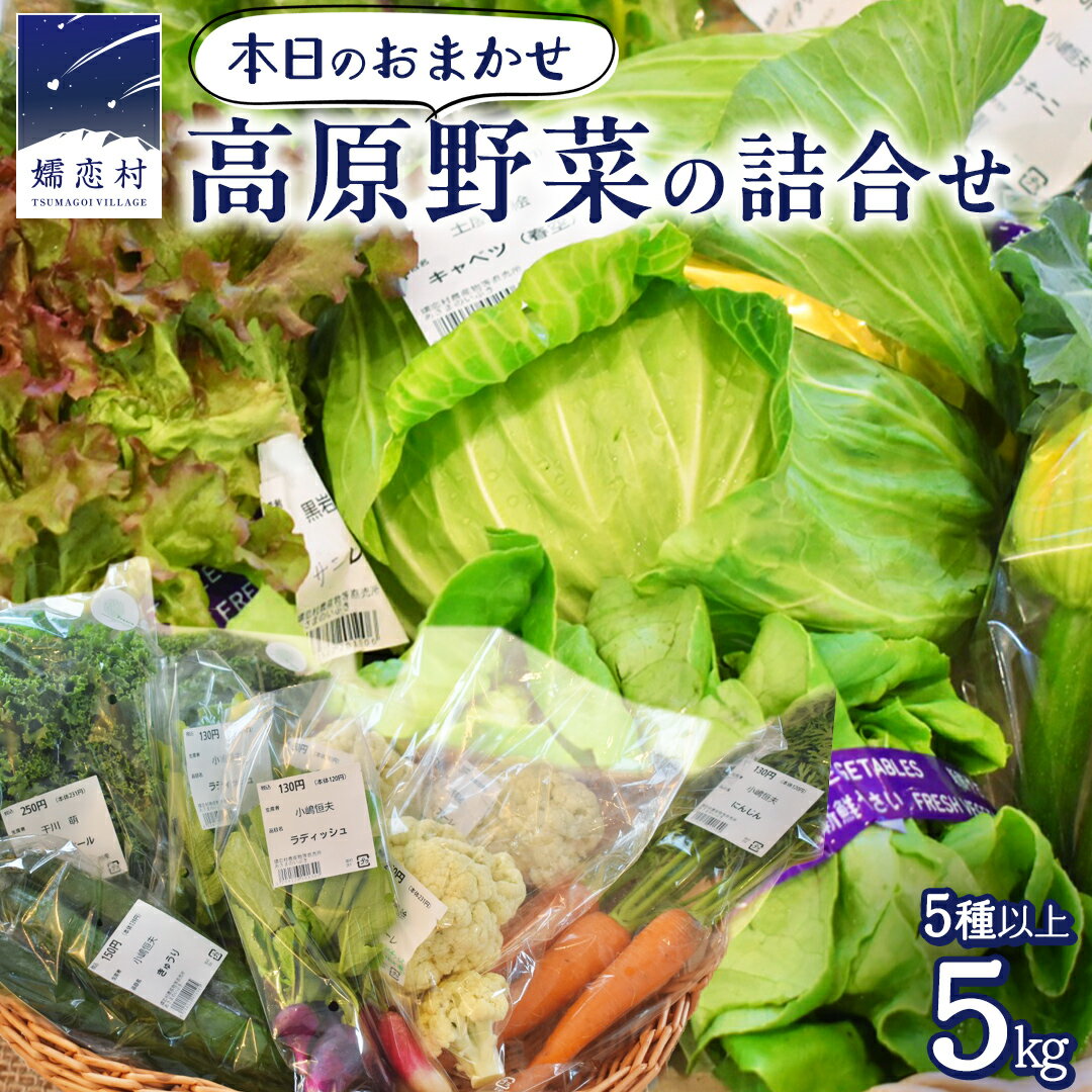 【ふるさと納税】本日のおまかせ 高原野菜 の 詰合せ 5kg 5種以上 おまかせ 野菜 野菜セット 旬 5kg 産地直送 嬬恋 旬の野菜