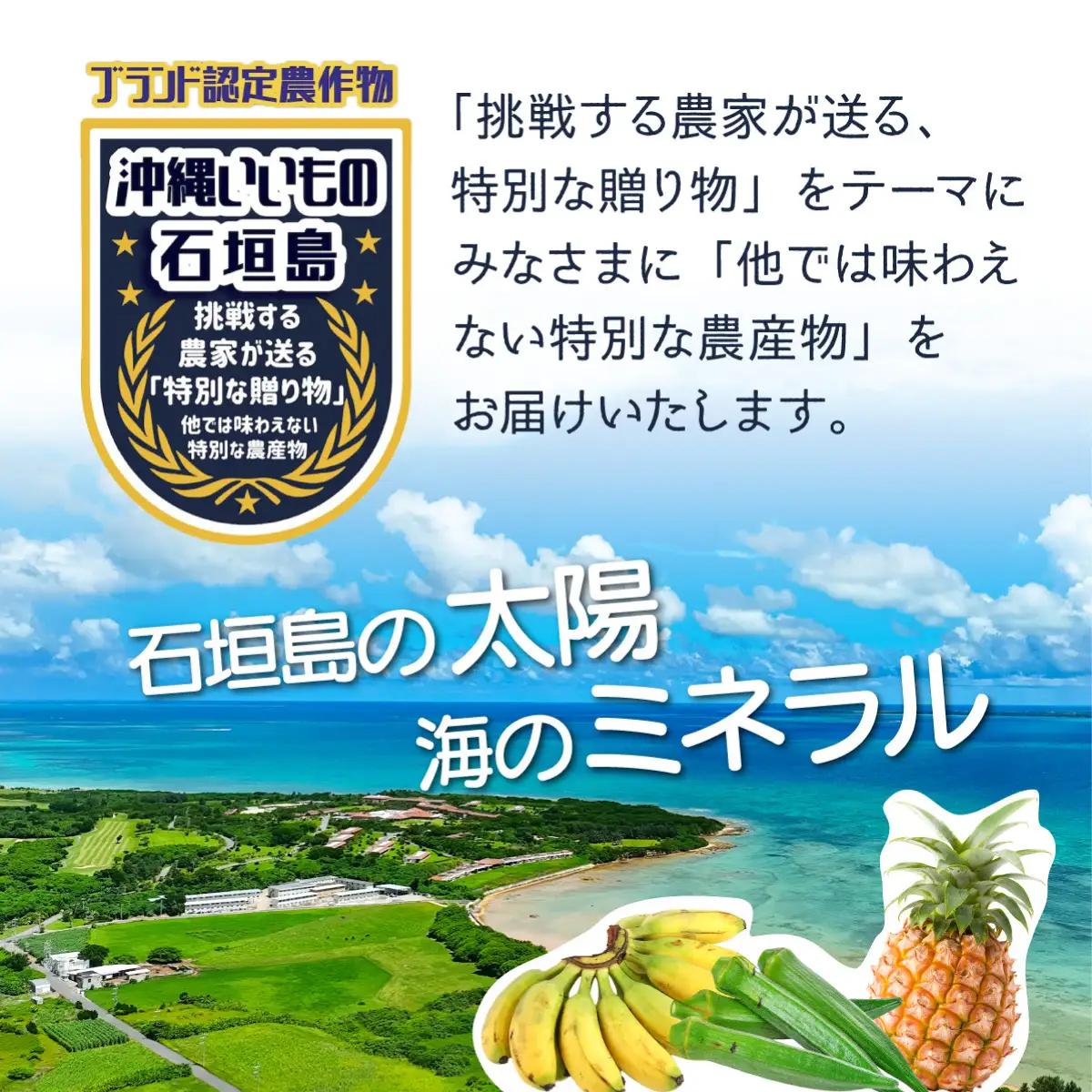 希少！無農薬栽培の千川さんが作る特別なバナナ2房